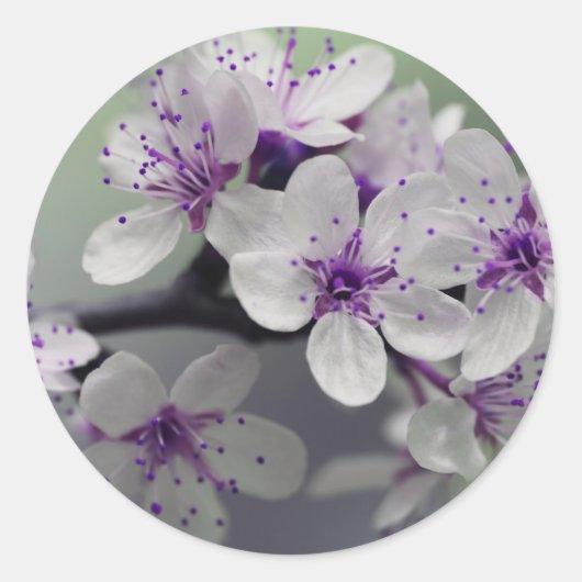 Blume blüht Aufkleber (Vorderseite)