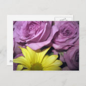 Blume blüht Daisy Rose Liebe Destiny Postkarte (Vorne/Hinten)