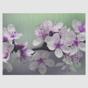 Blume blüht Gewebe Seidenpapier