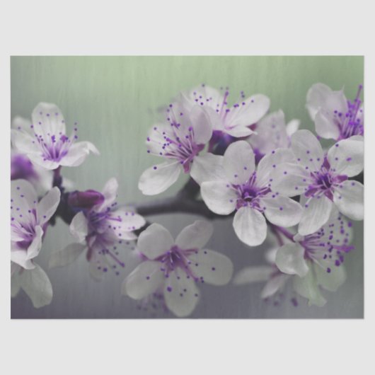 Blume blüht Gewebe Seidenpapier (Vorderseite)