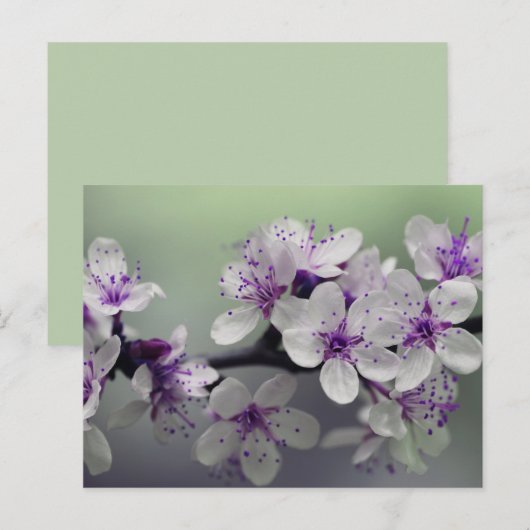 Blume blüht Postkarte (Vorne/Hinten)