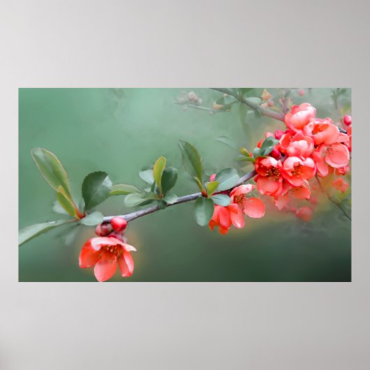 Blume Blume Quittenfeder Poster (Vorne)