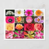 Blume, Blume überall auf Postkarte (Vorderseite)