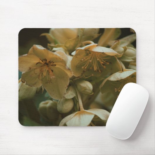 Blume Blumenmousepad Mousepad (Mit Mouse)