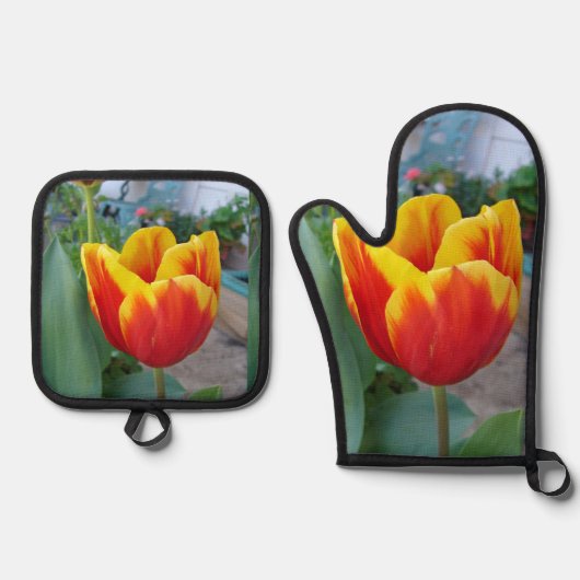 Blume Blumenrosa Tulip Foto Ofenhandschuh & Topflappen-Set (Vorderseite)
