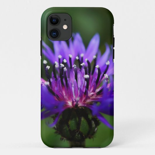 Blume Blüte Blüte Blüte Liebe Zerstörung Case-Mate iPhone Hülle (Rückseite)