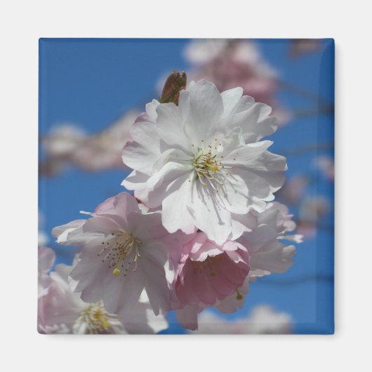 Blume-Blütenmagnet Magnet (Vorne)