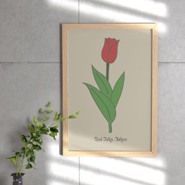 Blume Botanical Red Tulip Pastel Poster