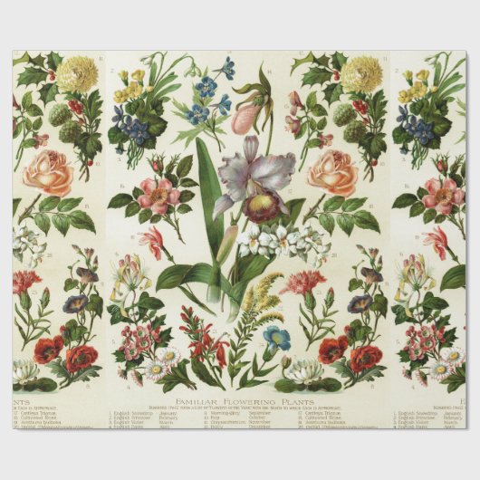 Blume Botanicals Geschenkpapier (Flach)