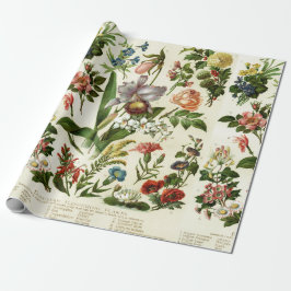 Blume Botanicals Geschenkpapier