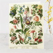 Blume Botanicals Karte (Gelbe Blume)