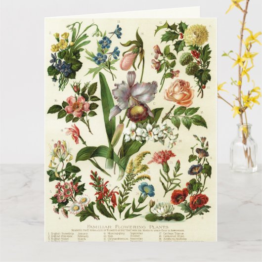 Blume Botanicals Karte (Gelbe Blume)