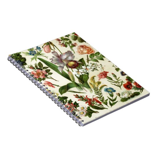 Blume Botanicals Notizblock (Rechte Seite)