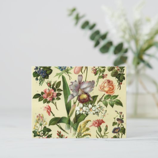 Blume Botanicals Postkarte (Stehend Vorderseite)