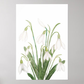 Blume botanische Aquarellmalerei Poster