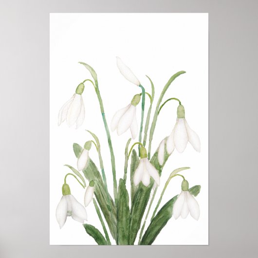 Blume botanische Aquarellmalerei Poster (Vorne)