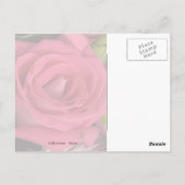 Blume Bouquet Pink Postkarte (Rückseite)