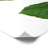 Blume Bouquet Poster (Ecke)