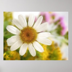 Blume Bouquet - White Daisy Poster