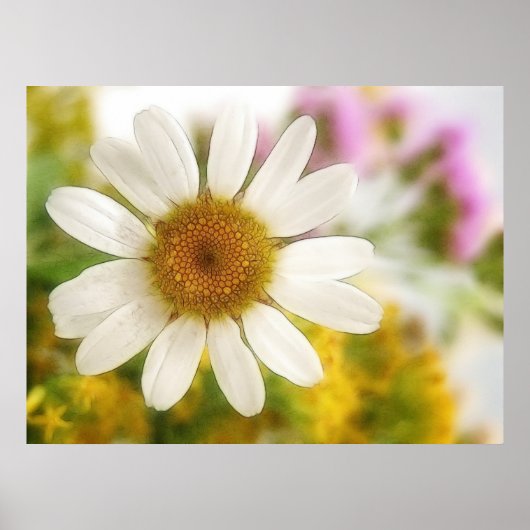 Blume Bouquet - White Daisy Poster (Vorne)
