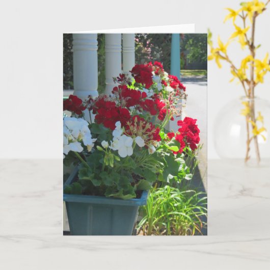 Blume Box Geraniums - Martha's Vineyard Karte (Gelbe Blume)