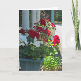 Blume Box Geraniums - Martha's Vineyard Karte