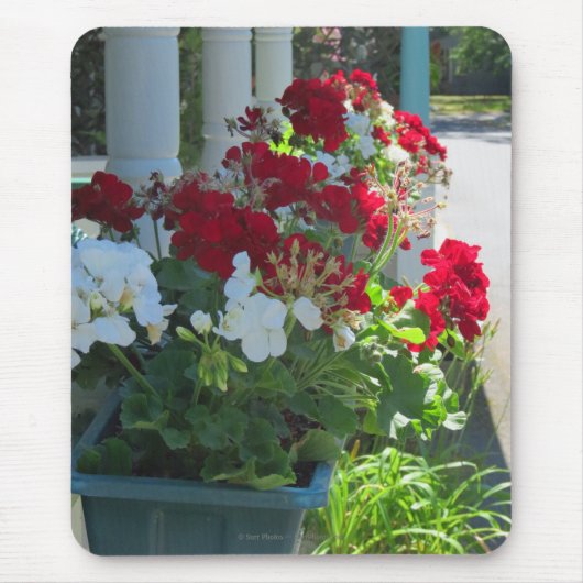 Blume Box Geraniums - Martha's Vineyard Mousepad (Vorne)