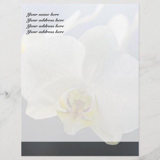 Blume Briefkopf (Vorderseite)
