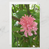 Blume Briefpapier (Vorne/Hinten)