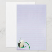 Blume Briefpapier (Vorne/Hinten)