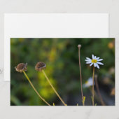 Blume Briefpapier (Vorne/Hinten)