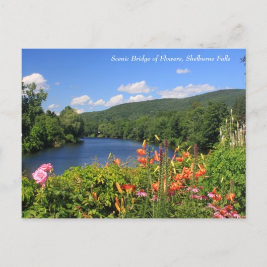 Blume-Brücke, Fälle von Shelburne Postkarte (Vorderseite)