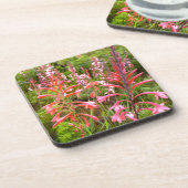 Blume Bugle Lily (Watsonia), Ostkap Untersetzer (Linke Seite)