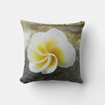 Blume, Bugs, japanisch, asiatisch, chinesisch, alt