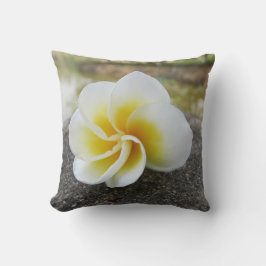 Blume, Bugs, japanisch, asiatisch, chinesisch, alt Kissen