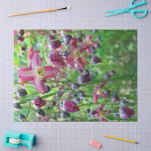 Blume & Bugs-Papiere Seidenpapier