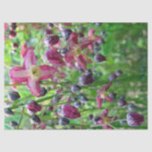 Blume & Bugs-Papiere Seidenpapier (Vorderseite)