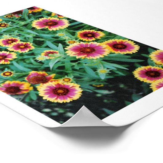 Blume Burst Poster (Ecke)