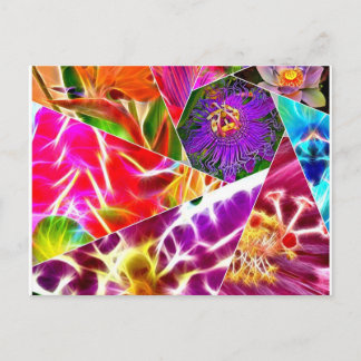Blume Burst Postkarte