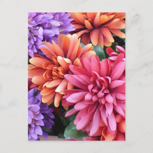 Blume Bursts Postkarte (Vorderseite)