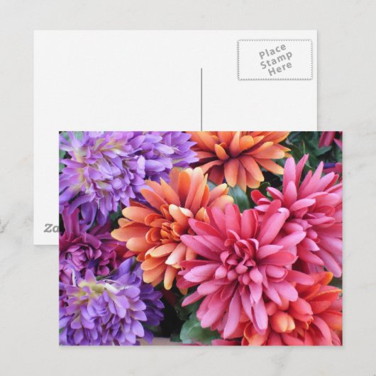 Blume Bursts Postkarte (Vorne/Hinten)