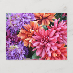 Blume Bursts Postkarte