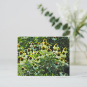 Blume, Bute Park, Cardiff, Wales Postkarte (Stehend Vorderseite)