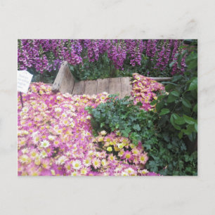 BLUME Butterfly Garden Vegas Postkarte