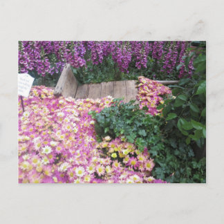 BLUME Butterfly Garden Vegas Postkarte