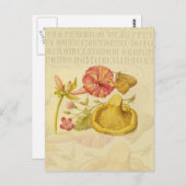 Blume Butterfly Mushroom Wasserfarbe Malerei Postkarte (Vorne/Hinten)