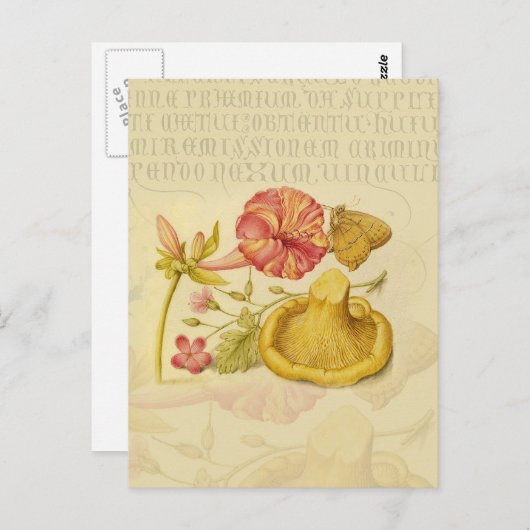 Blume Butterfly Mushroom Wasserfarbe Malerei Postkarte (Vorne/Hinten)