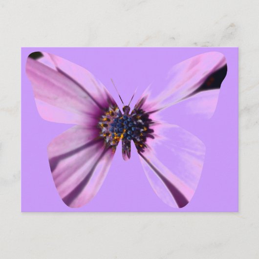 Blume Butterfly Postkarte (Vorderseite)