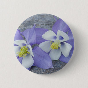 Blume Button