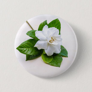 Blume Button